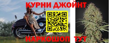a pvp Гатчина