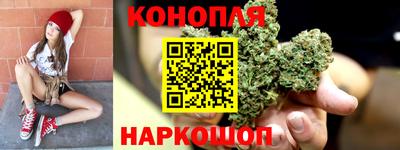 a pvp Гатчина