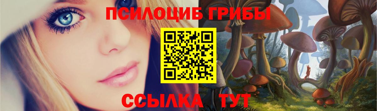 Спасск-Дальний  Галлюциногенные грибы ЛСД  Вход с VPN 